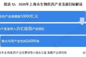 智能新澳2025最新资料大全，创新项目管理与实施策略 哔哩哔哩与Bilibili的启示