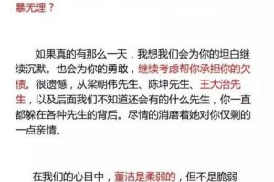 澳门一码一肖一待一中四不像，全面释义、解释与落实及警惕虚假宣传