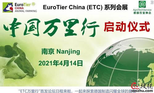 澳门新风情与奥利奥的文化交融—探索资料大全正版的奥秘
