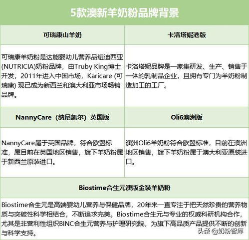深度测评，关于新澳精准正版免费资料相关词汇与术语介绍