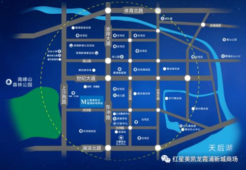 力学与濠江论坛的品牌市场定位分析，即时反馈机制的重要性与未来发展策略