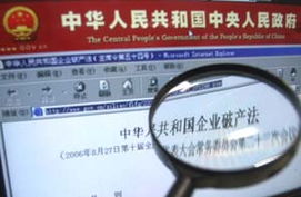 澳门一肖一码一恃一中354期，全面释义、解释与落实及警惕虚假宣传