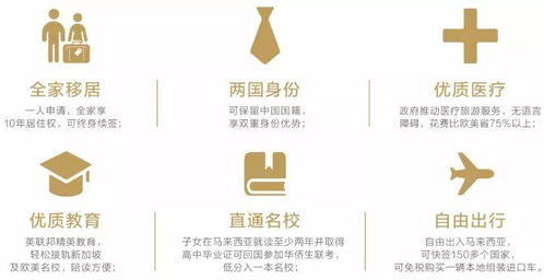 澳门六合之家的全面释义、解释与落实及警惕虚假宣传