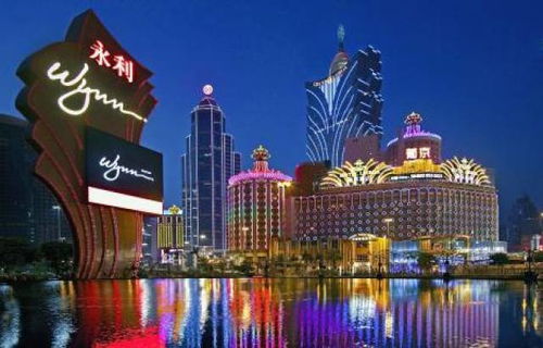 (6分钟科普下)澳门最精准免费旅游资料大全，景点实际应用及成功案例解析—哔哩哔哩（Bilibili）视角