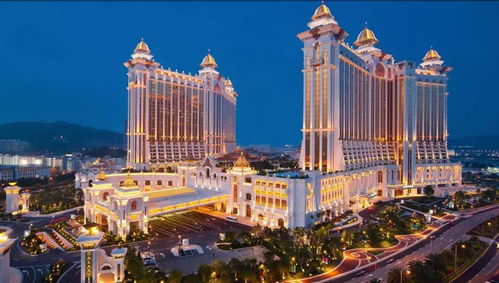 (6分钟科普下)澳门最精准免费旅游资料大全，景点实际应用及成功案例解析—哔哩哔哩（Bilibili）视角
