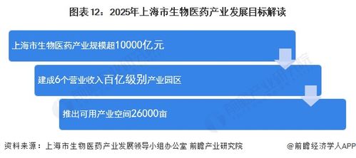 智能新澳2025最新资料大全，创新项目管理与实施策略 哔哩哔哩与Bilibili的启示