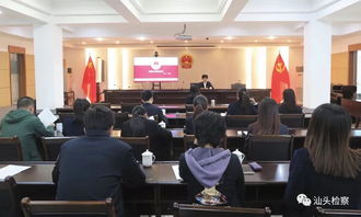 力学在濠江论坛最新发布系统的竞争策略与动态市场更新消息分析